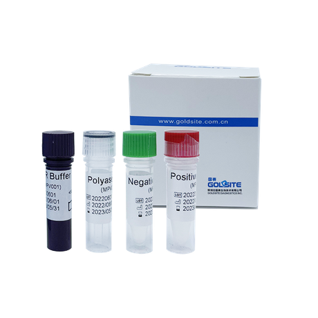 Kit de PCR du virus Monkeypox (MPXV)
