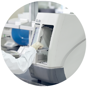 Laden Sie das 6-Well-Probenrack