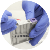 passo 1 adicionar amostra